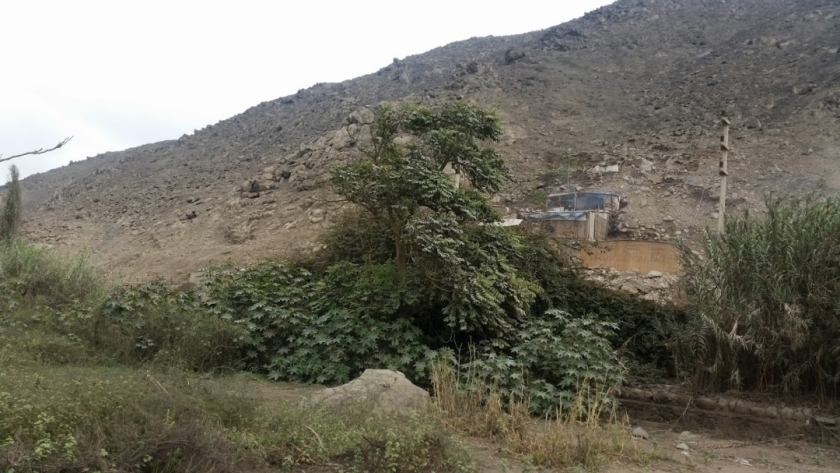 Alquiler de Terreno en PACHACAMAC 