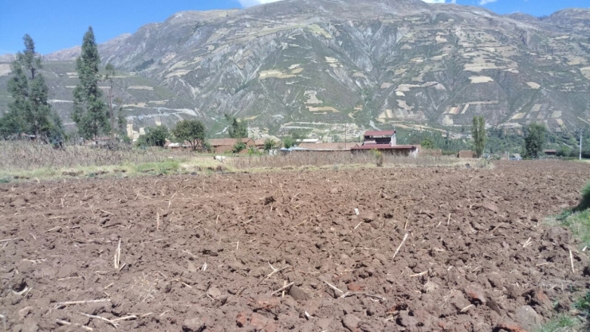 Venta de Terreno en ACOPAMPA 