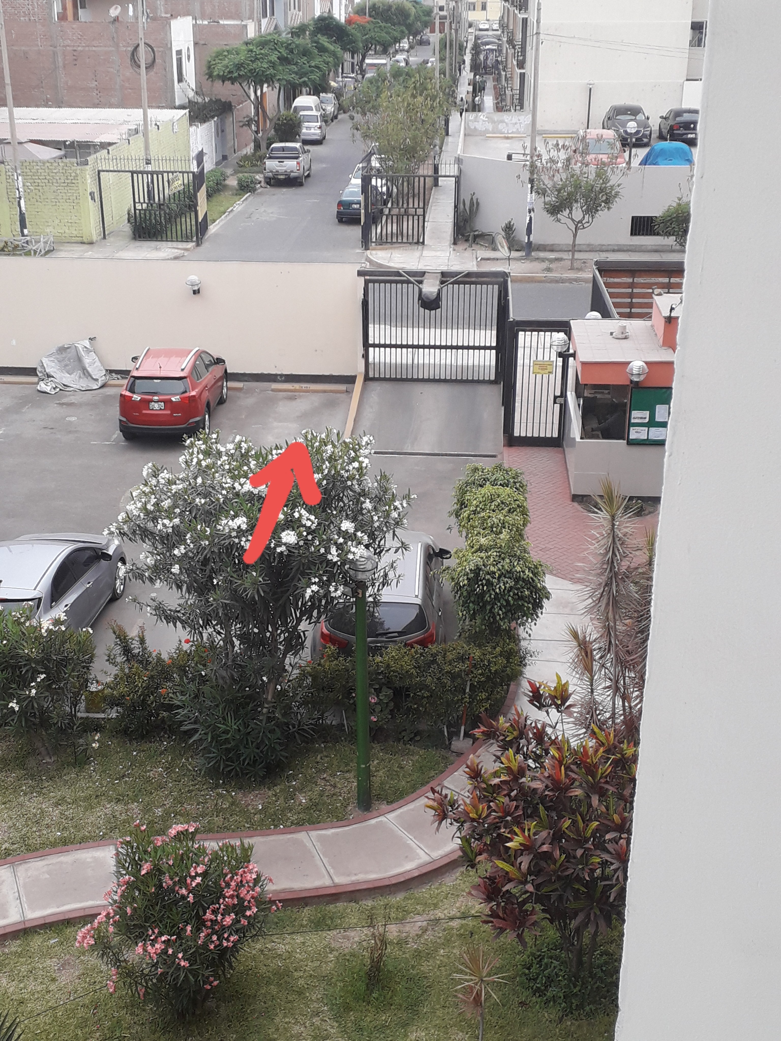 Venta de Estacionamiento en SANTIAGO DE SURCO 