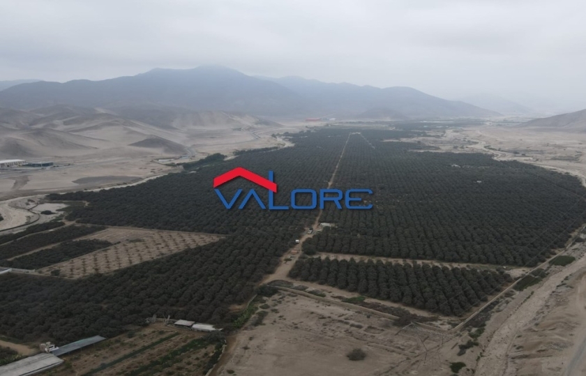 Venta de Terreno Industrial en CHILCA 