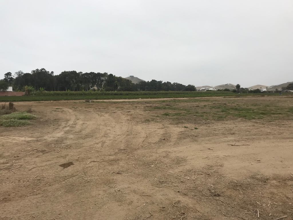 Venta de Terreno en MALA 