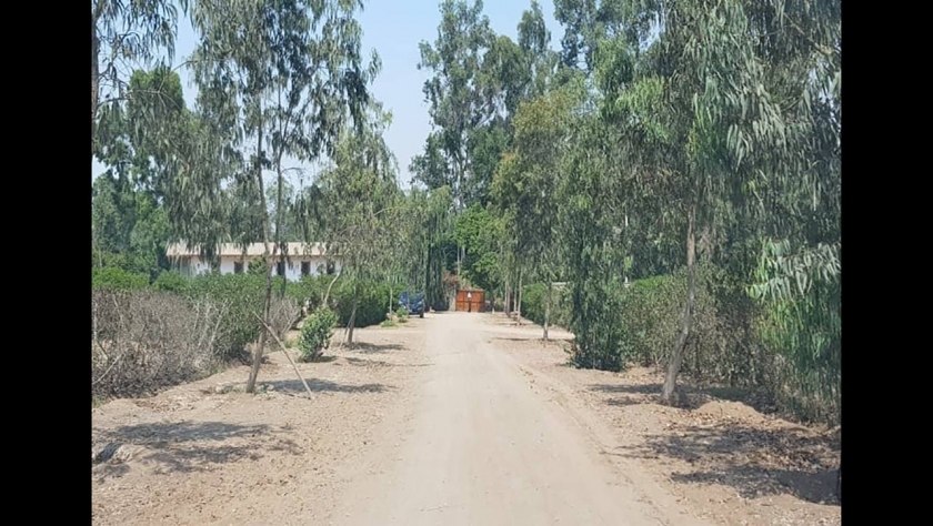Venta de Terreno en PACHACAMAC 